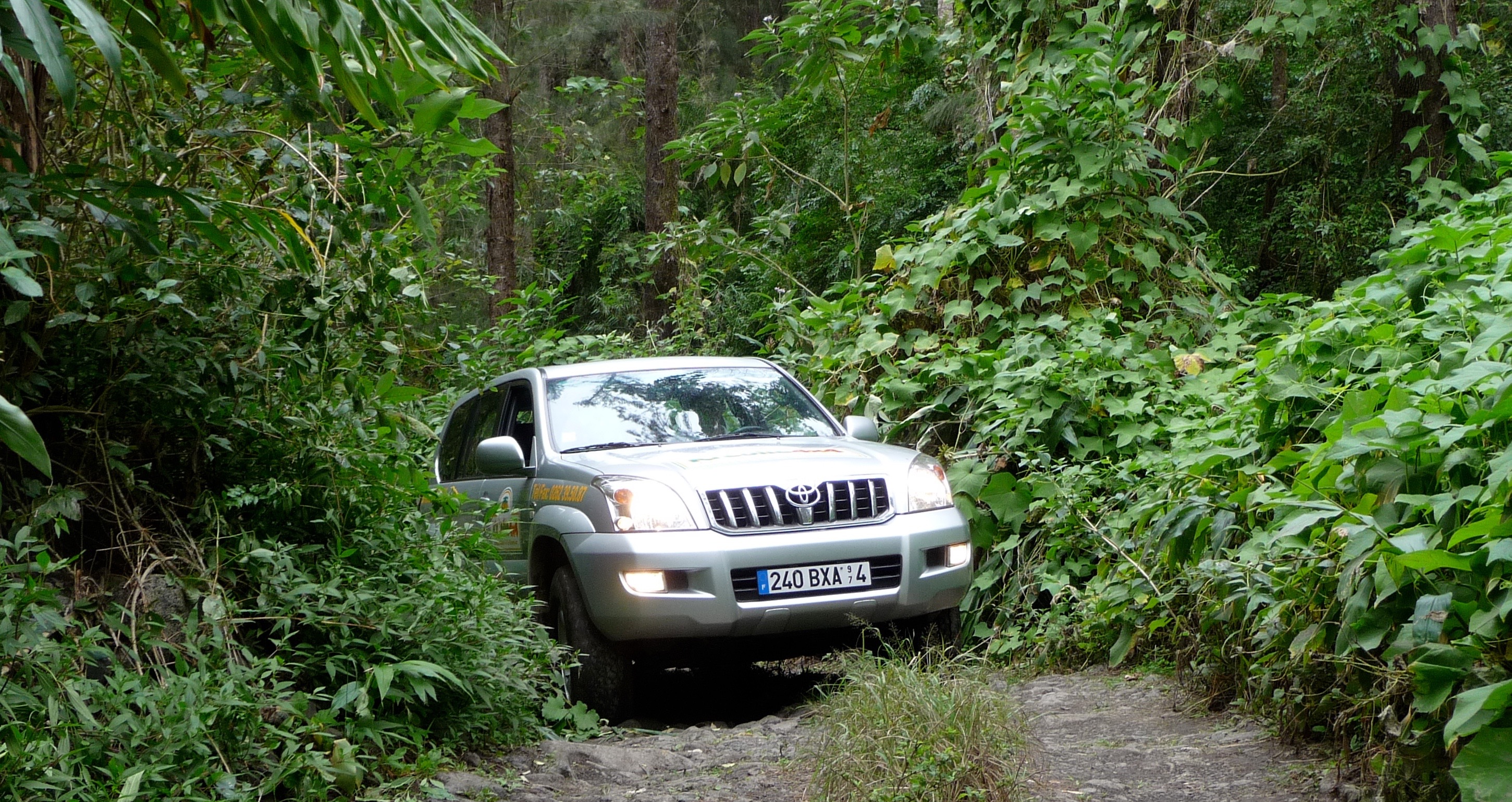 4WD tours